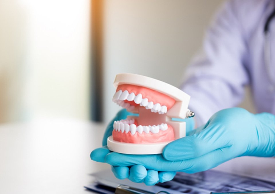 dentist holding dentures in hand